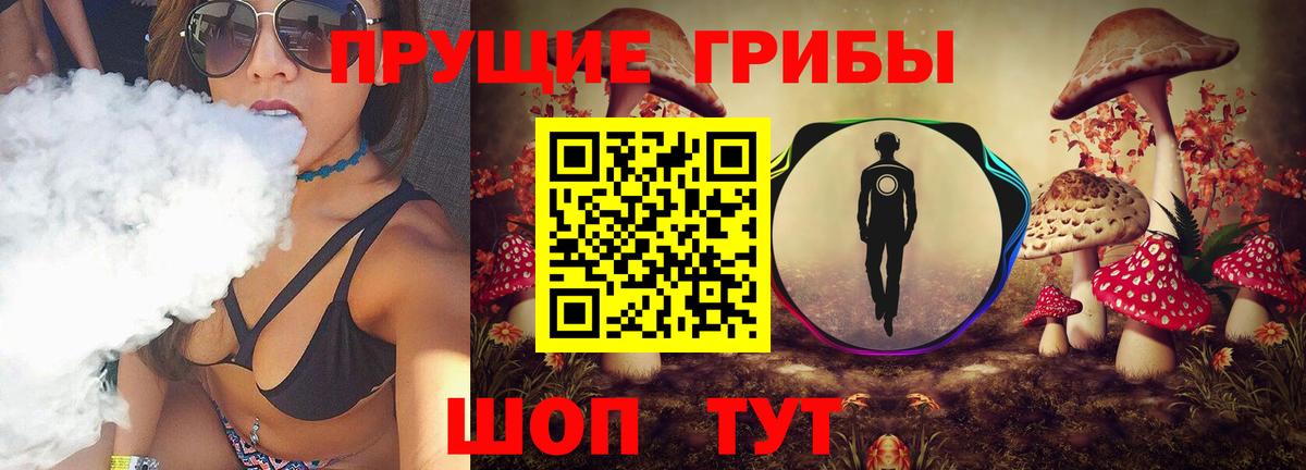 Белогорск  Псилоцибиновые грибы Psilocybe  Вход с VPN 